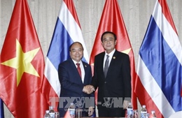 APEC 2017: Thủ tướng Chính phủ Nguyễn Xuân Phúc gặp Thủ tướng Thái Lan 